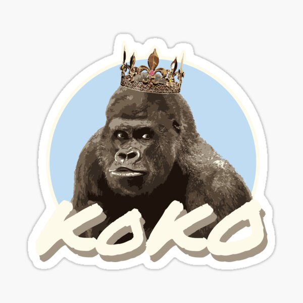 HHMU_Banksia's tweet image. *17* 

#KweenKoKo &amp;lt;&amp;gt; #KweenOfLove 
#SovereignBeing from #TheRealmsAbove 
#KweenOfKaleidoscopes #NewWayOfSeeing 
#EachAndEveryOneOfUs in #Truth's a #SovereignBeing! 

@lynnpotter11 @gladhill_in @Zoompad 
#TheCAThedralOfMotherNature 
#2020TheYearOfTheCAT 
#LoveAllball &amp;amp; friends! x