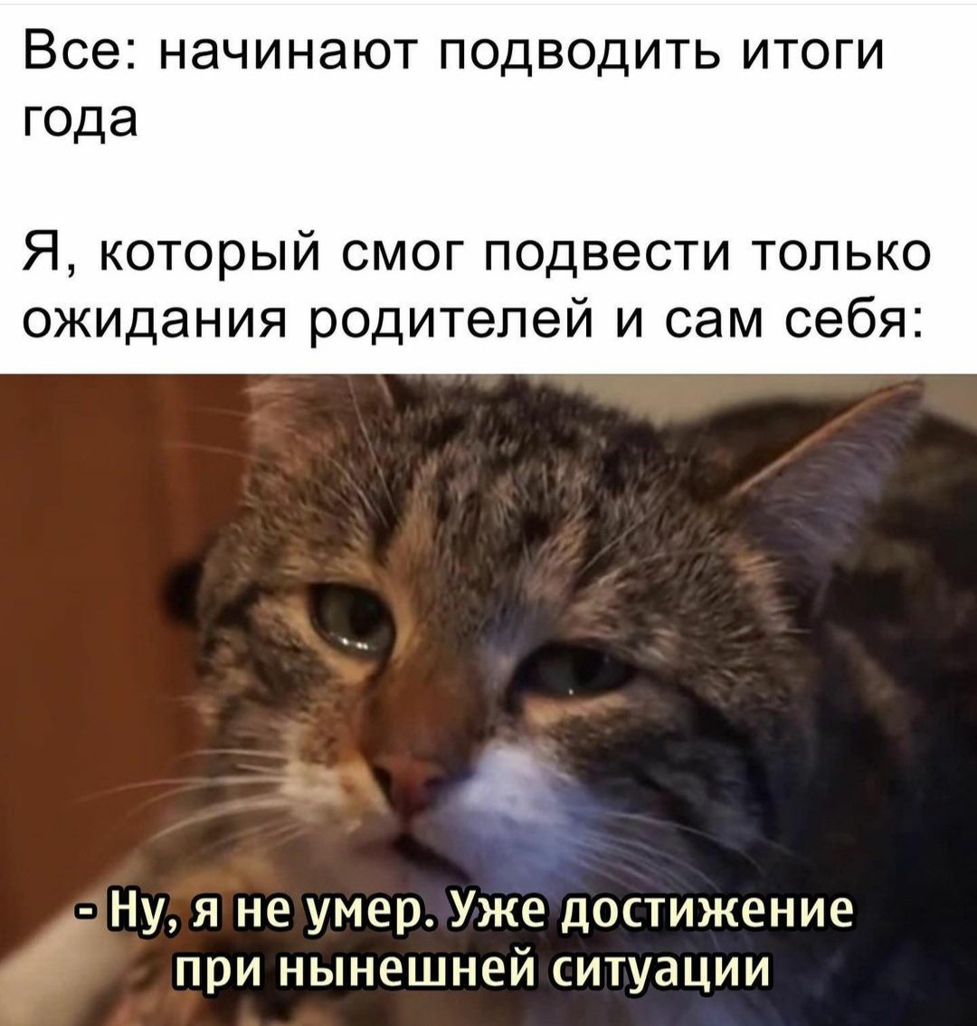 приколы про подведение итогов года. итоги года смешно. итоги года смешные картинки. итоги года смешные картинки. подведение итогов дня.