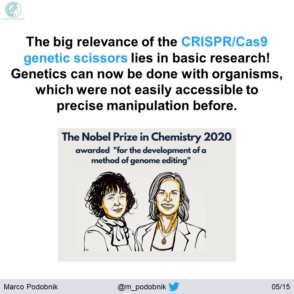 Danio aesculapii described in 2009 by  @svenok & Fang Fang  https://doi.org/10.11646/zootaxa.2164.1.4