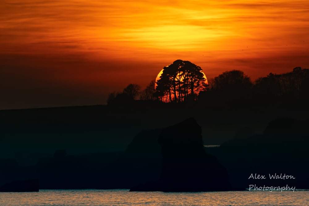 Absolutely gorgeous sunsets of late. A welcome start December.
Picture: sunset silhouette over Ladram Bay treeline, as seen from Sidmouth seafront.
<a href="/VisitDevon/">Visit Devon</a> <a href="/visit_sidmouth/">Visit Sidmouth</a> <a href="/LadramBay/">Ladram Bay</a> @SouthWestUK #Sundowns #sidmouth #beautifuldevon #Devon #goldenskies <a href="/VisitEngland/">VisitEngland</a>