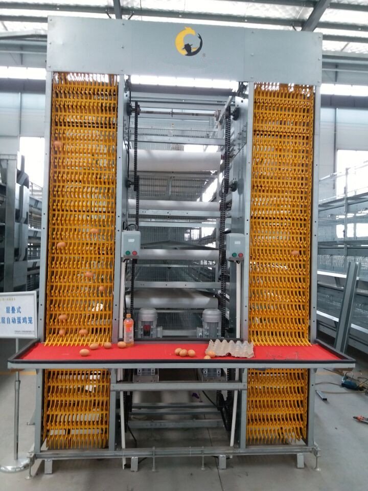 I can also help you with the importation of durable and quality poultry equipments.Cages, Automatic feeding lines, silos and drinking equipments. Be it EU standard or China.We also install these equipment locally and you don't need to bring in expertrates.Please help RT