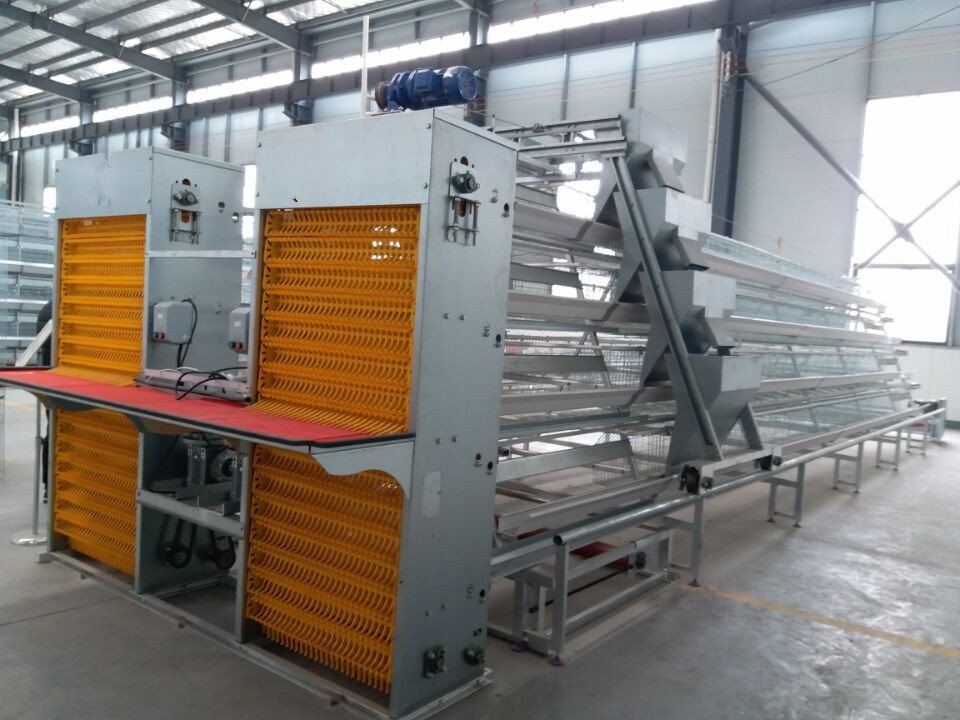I can also help you with the importation of durable and quality poultry equipments.Cages, Automatic feeding lines, silos and drinking equipments. Be it EU standard or China.We also install these equipment locally and you don't need to bring in expertrates.Please help RT