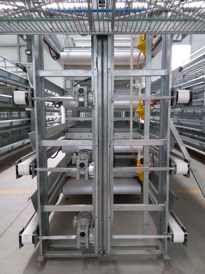 I can also help you with the importation of durable and quality poultry equipments.Cages, Automatic feeding lines, silos and drinking equipments. Be it EU standard or China.We also install these equipment locally and you don't need to bring in expertrates.Please help RT