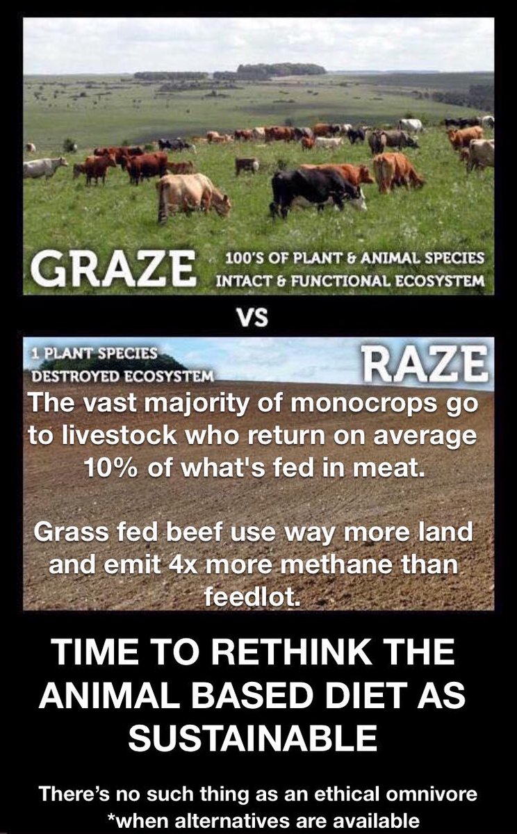 Anines Tho ノ ゚º Moving From Current Diets To Vegan Diets Has Transformative Potential Reducing Food S Land Use By 76 Inc A 19 Reduction In Arable Land Food S Ghg