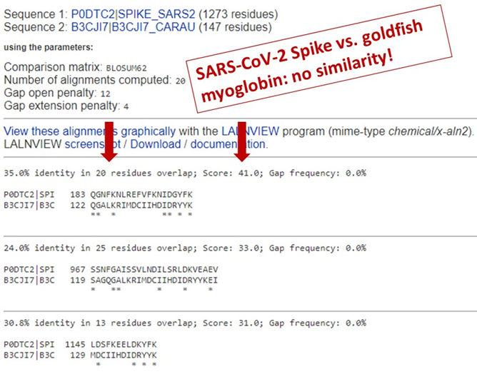 3e) I want to drive this point home, so here’s spike protein versus a goldfish protein called myoglobin. Why myoglobin? Because it’s a cheap standard protein in my lab fridge. Why a goldfish? Just my own personal amusement. It matches about as well as the syncytin-1