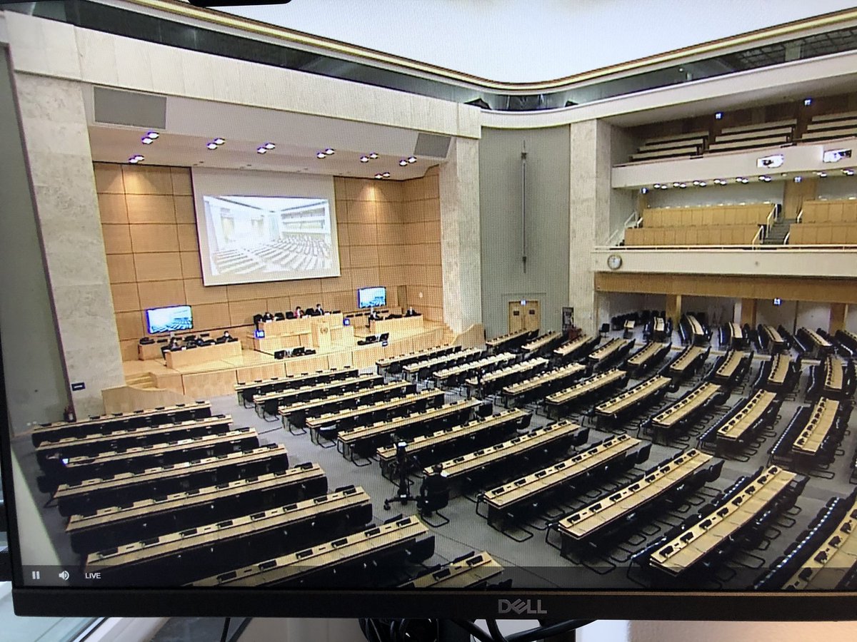 At #HRC Ireland welcomes strong statement by <a href="/mbachelet/">Michelle Bachelet</a> on deterioration of the human rights situation in #Belarus. 🇮🇪 calls for an end to repression of peaceful protestors and indiscriminate arrests, including of children. We share concern of <a href="/MaryLawlorhrds/">Mary Lawlor UN Special Rapporteur HRDs</a> on arrests of #WHRD