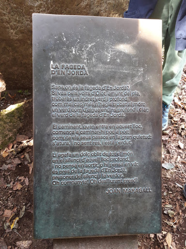acabanesarnau's tweet photo. Para el viernes que viene nos tenemos que aprender el poema de Joan Maragall: La fageda d'en Jordà.
He descubierto que en la Reserva Natural de la Fageda d'en Jordà hay una placa donde está escrito el poema. Os comparto una foto, espero que os motive para aprender el poema! https://t.co/JV1ZPdZcbg