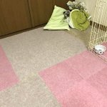 爪切りがそんなにショック？悲しみを込めて睨んでくる犬w