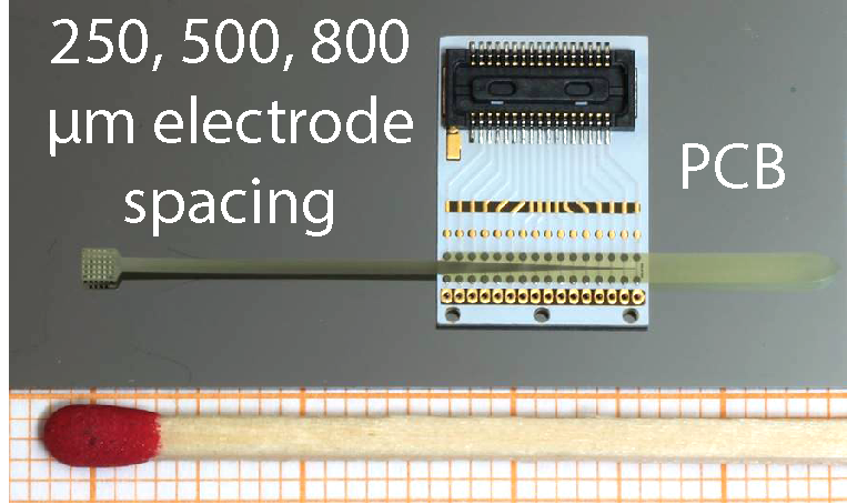 Dr. Marcel Brosch tweet media