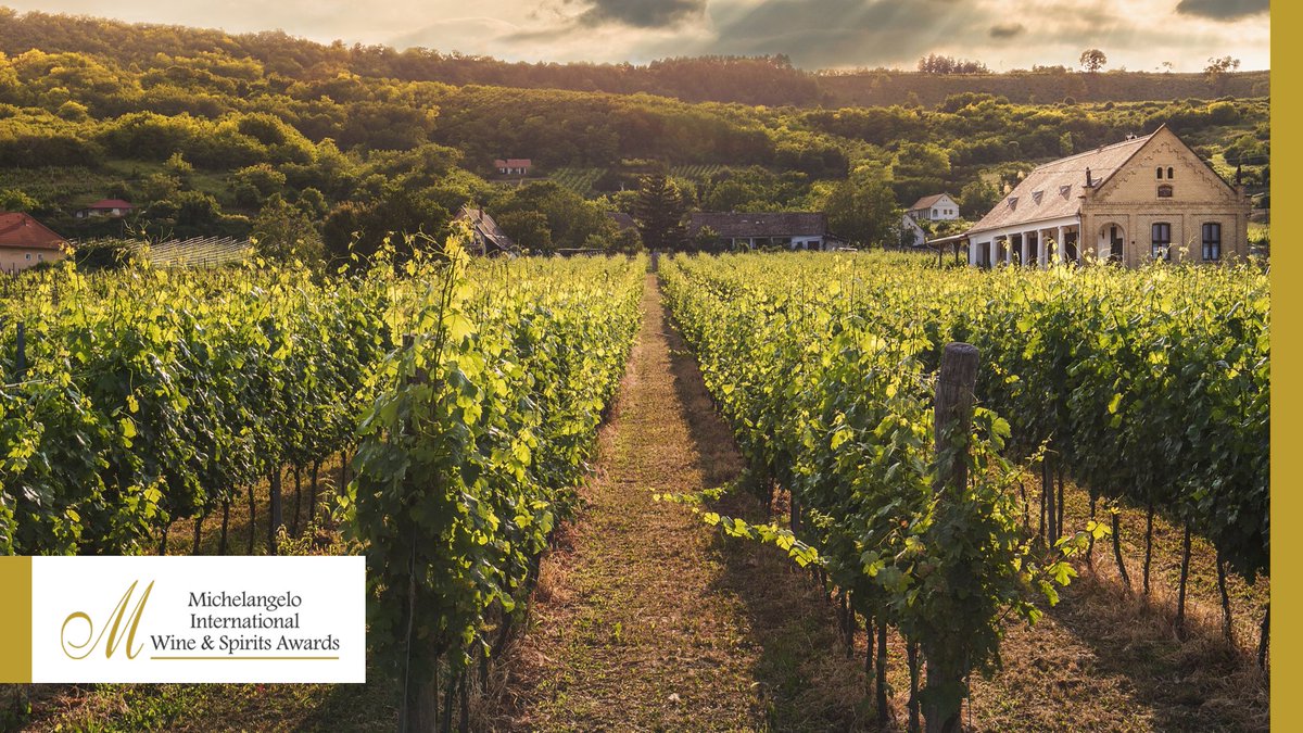 Today is International Cabernet Franc Day! Traditionally one of six varietals found in a Bordeaux blend, a few South African Cabernet Francs have excelled as single-varietal offerings. Among our winners <a href="/BenguelaCove/">Benguela Cove Lagoon Wine Estate</a>'s Vinography 2017 Cabernet Franc was awarded a Double Gold!