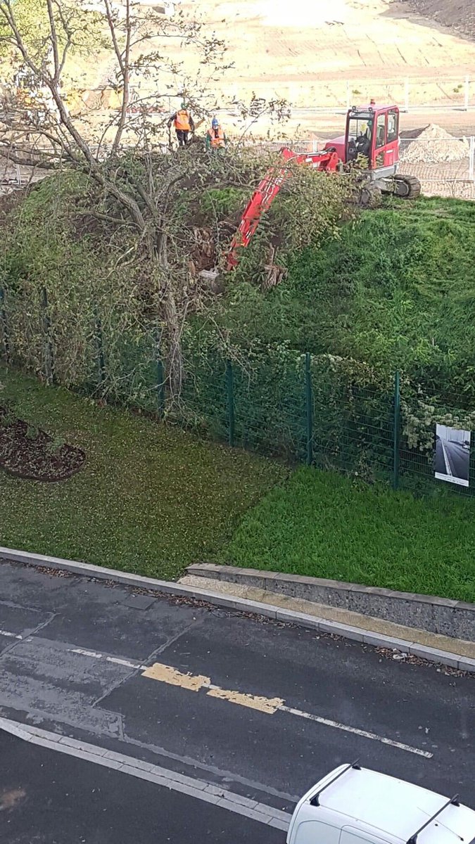 GnsaBagneux's tweet photo. Toujours moins de nature sur Bagneux ! #greenwashing #bagneux #Mathurins #OMathurins #Pollution #Immobilier #ecologie #nature #arbre #espacevert #biodiversite #hautsdeseine #iledefrance #Bagneux https://t.co/MSUdZZT33Q