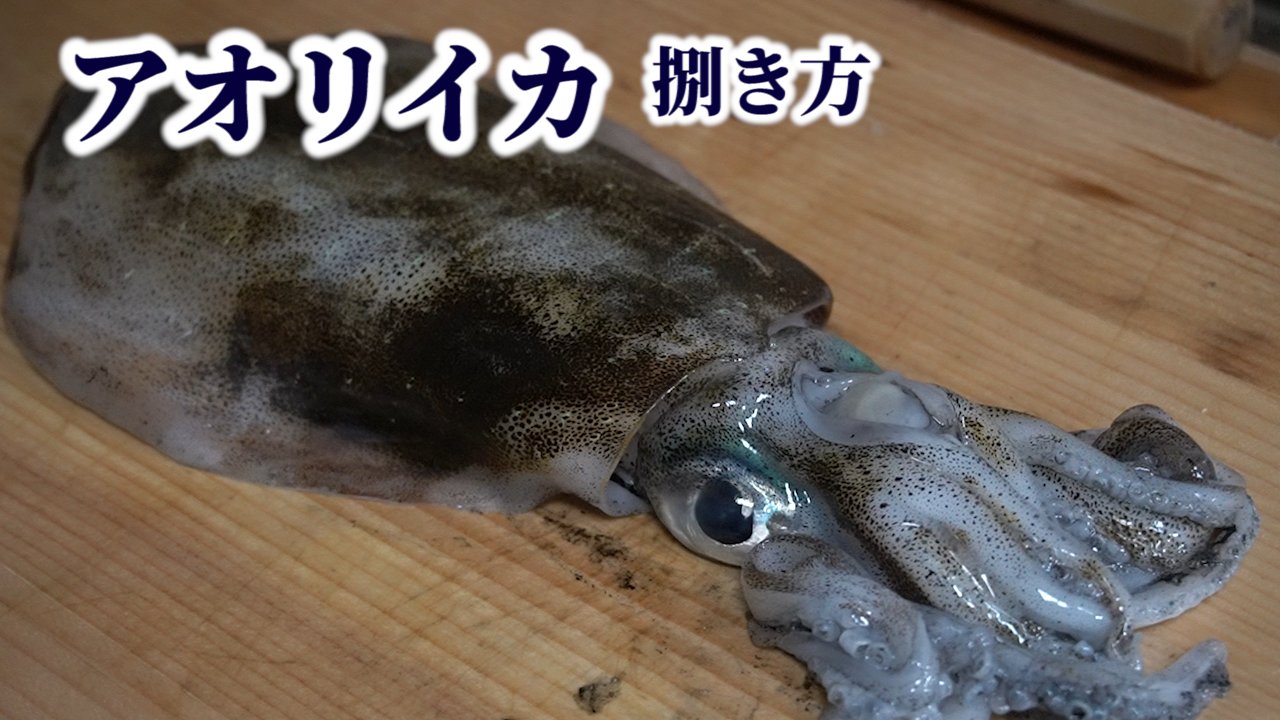 銀座渡利 アオリイカのさばき方 刺身の作り方 をご紹介しました 動画 T Co Gljgi9grq5 イカ アオリイカ おうちごはん Twitter家庭料理部 料理好きな人と繋がりたい 料理教室 お腹ペコリン部 爆釣 釣り 釣り好きな人と繋がりたい