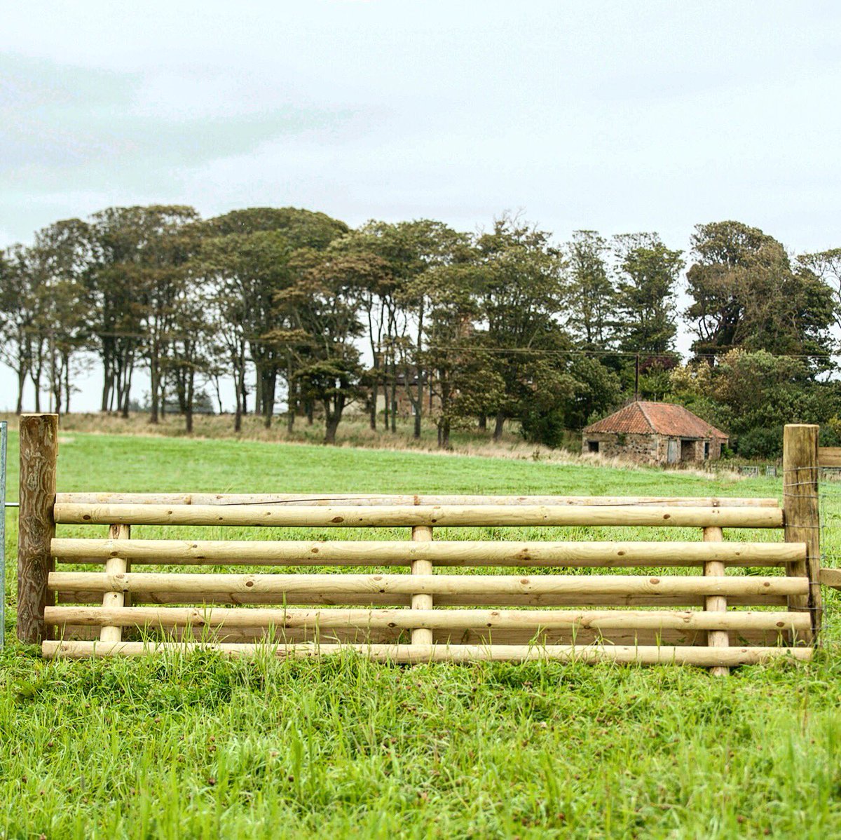 lurcherwork's tweet photo. #newbuild #huntjump #timber #jump #equestrian #horsesports #foxhunting #hunting #hunter #draghunting #trailhunting #crosscountry #huntertrial #countryman #jumpbuilding #jumpbuilder #tigertrap #fencefriday https://t.co/gvFVfVqQga