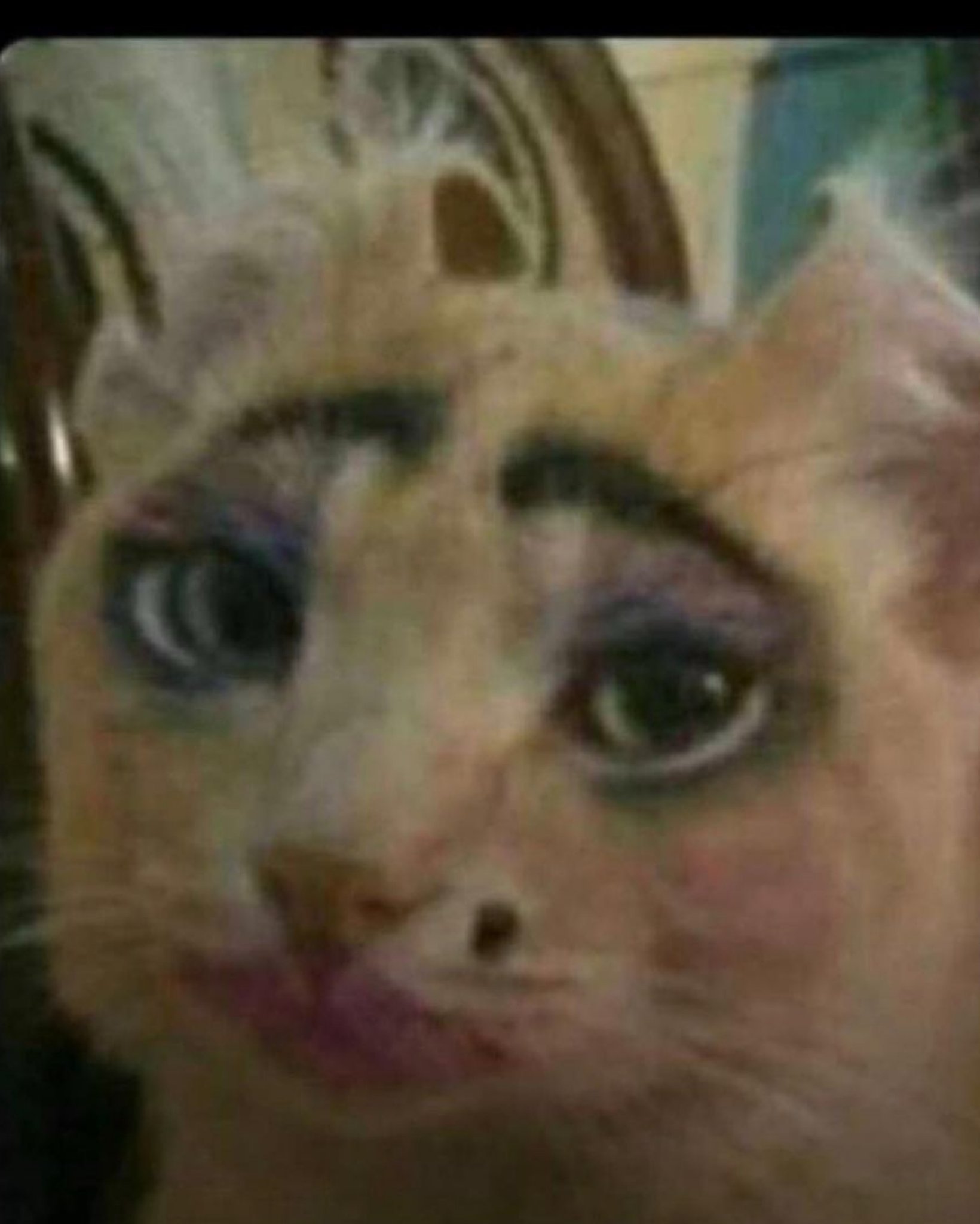 Накрашенная кошка