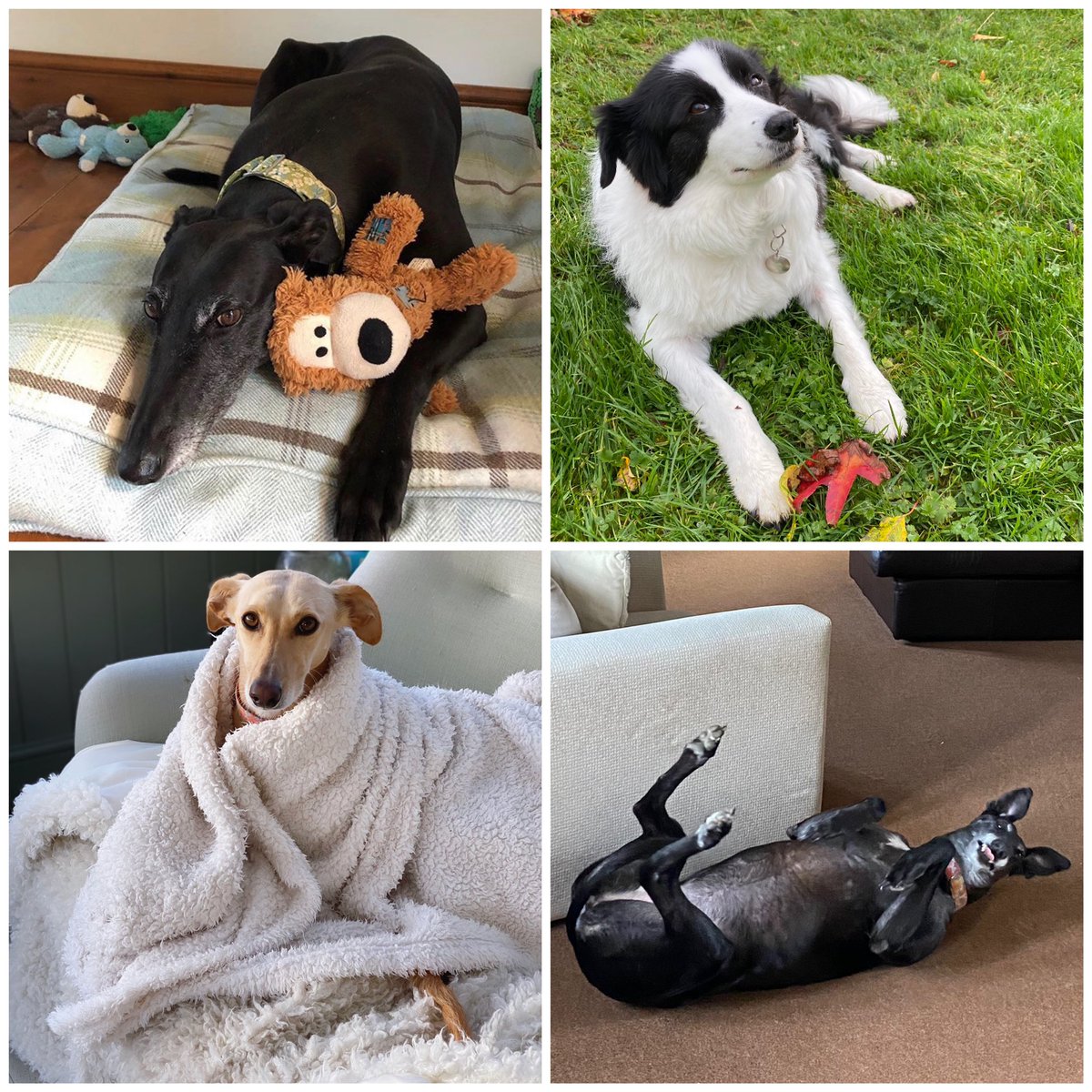 Jenna Myles tweet media