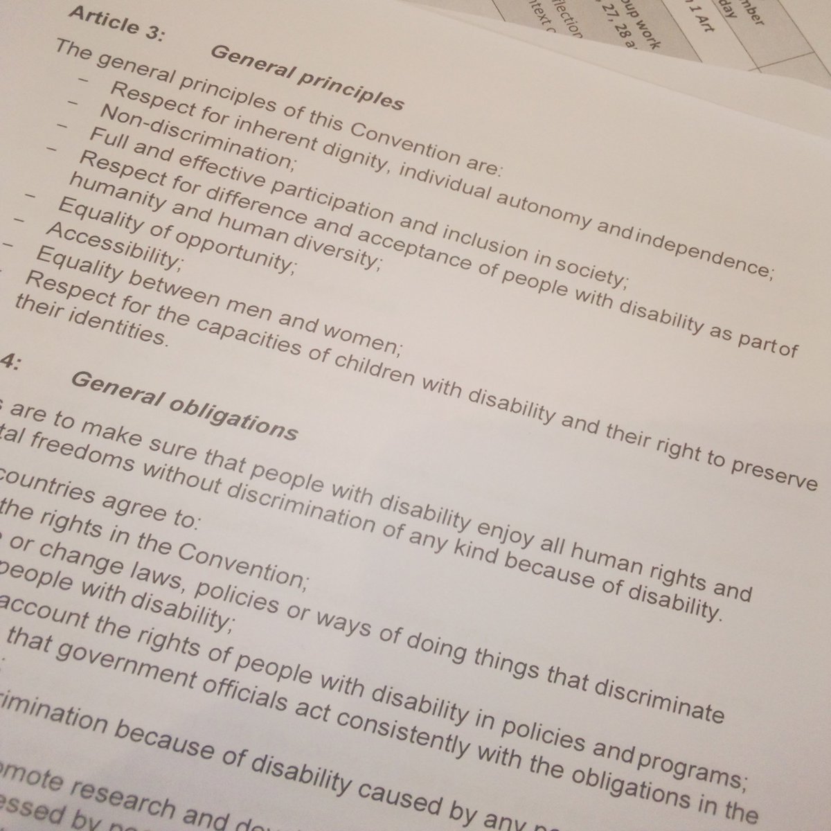 GikonyoMaureen's tweet photo. Article 3 of the CRPD on the General Principle. Health care should be available, accessible & appropriate for everyone.
@uspkenya
#Makingourvoicescount
#CRPD
#HumanRights
#SDGs https://t.co/4BQHNzyMCL