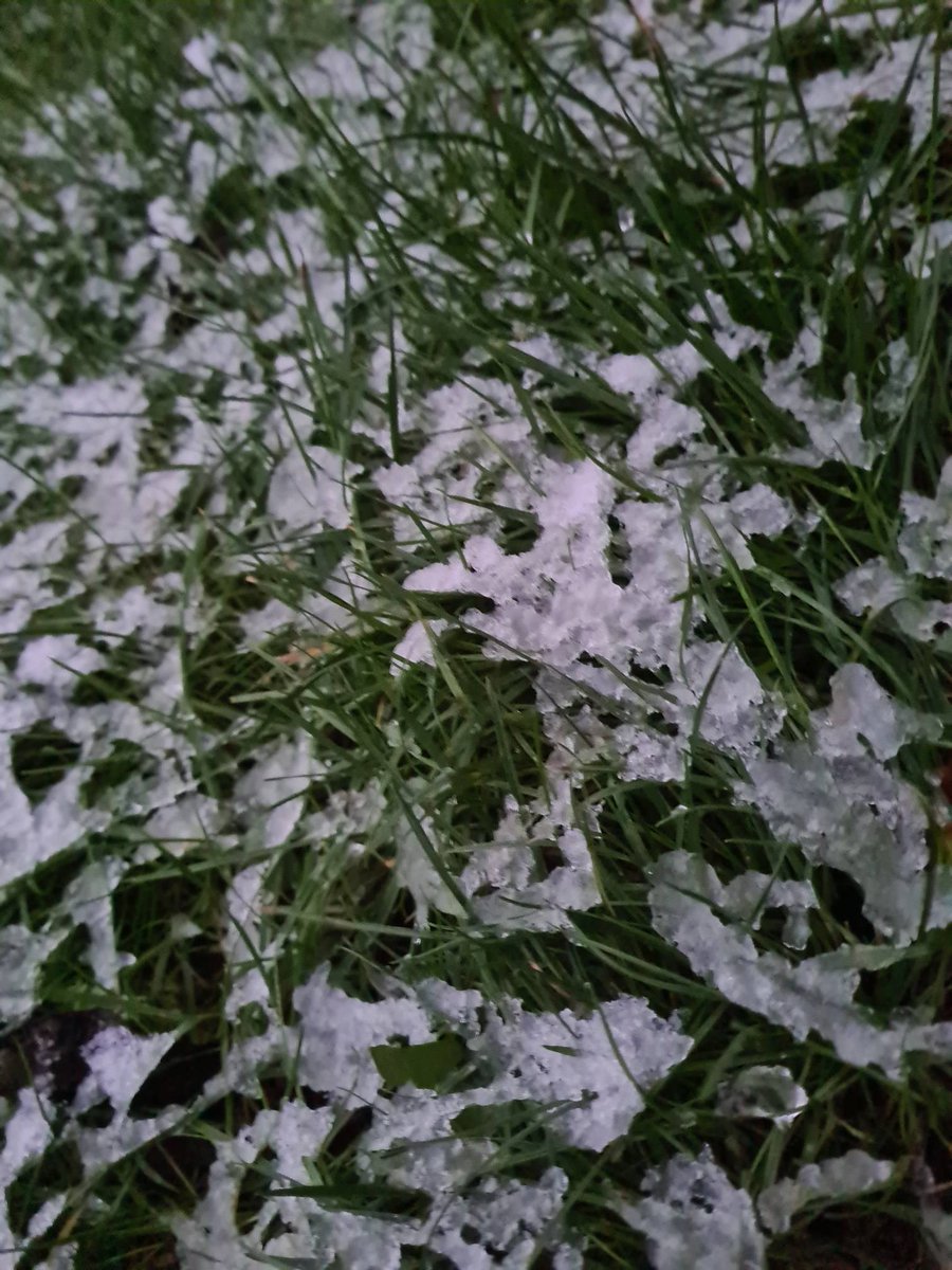 Transport Team tweet media