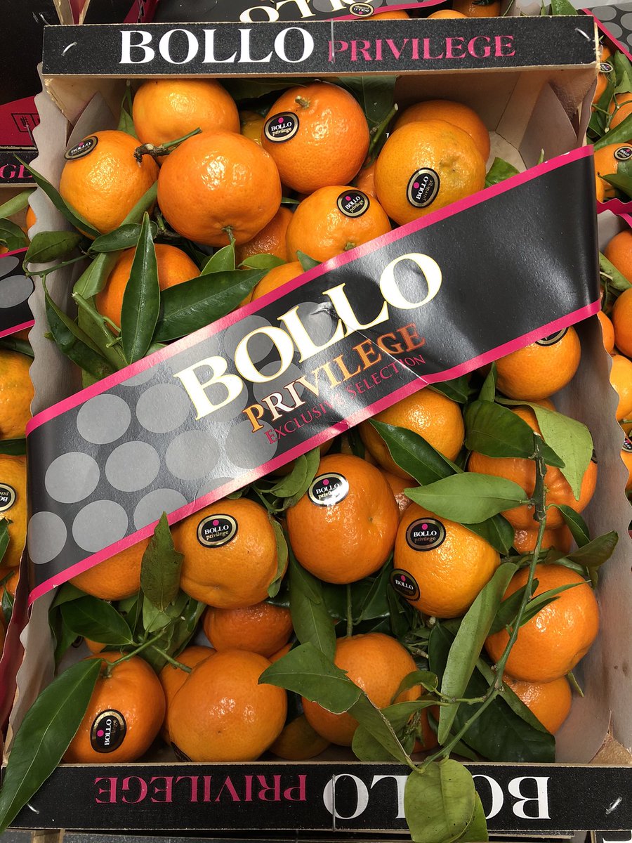 🤶-20 ! Saveurs vitaminées en provenance du ☀️ d’Espagne ! Clémentines Clemenules avec feuilles by <a href="/bollofruits/">Bollo International Fruits</a> ! Un délice pour les papilles avec <a href="/AndreMighirian/">André Diogo</a> ! Rendez vous ce week-end chez <a href="/Monprimeur/">Monprimeur</a> ! 🔝👍☀️👌