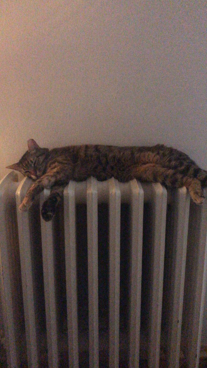 Asya hanım her zamanki gibi kış aktivitesi ❄️