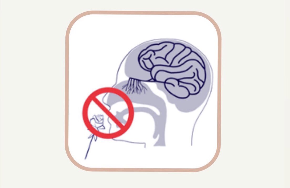 urban_scents's tweet photo. Did you know?
That close to 20% of the population suffer from odour disorders.
Close to 5% from #anosmia and 15% from #hyposmia
But that you can train your nose !
#smellingtraining #COVID19 #COVID #coronavirus #urbanscents #hummel #smelling #smell #lossofsmell @urban_scents https://t.co/m7fIZRT7Or
