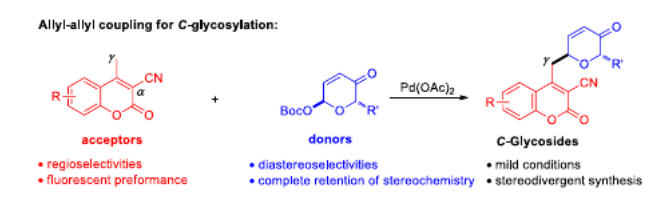 AdvSynthCatal's tweet photo. Just accepted Update by Nan Zheng, Wangze Song, and co-authors: #Palladium‐Catalyzed Regio‐ and #Diastereoselective C‐#Glycosylation by #Allyl‐Allyl Coupling https://t.co/R4a2Do4ACO https://t.co/xQrrFCyVqZ