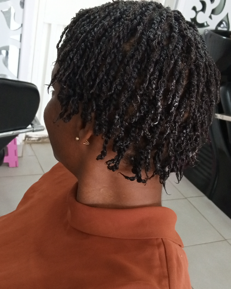 frollicles's tweet photo. Twists ♥️
.
.
#twiststyles #frollicles #haircare #naturalhair https://t.co/I6nn7DOyoP