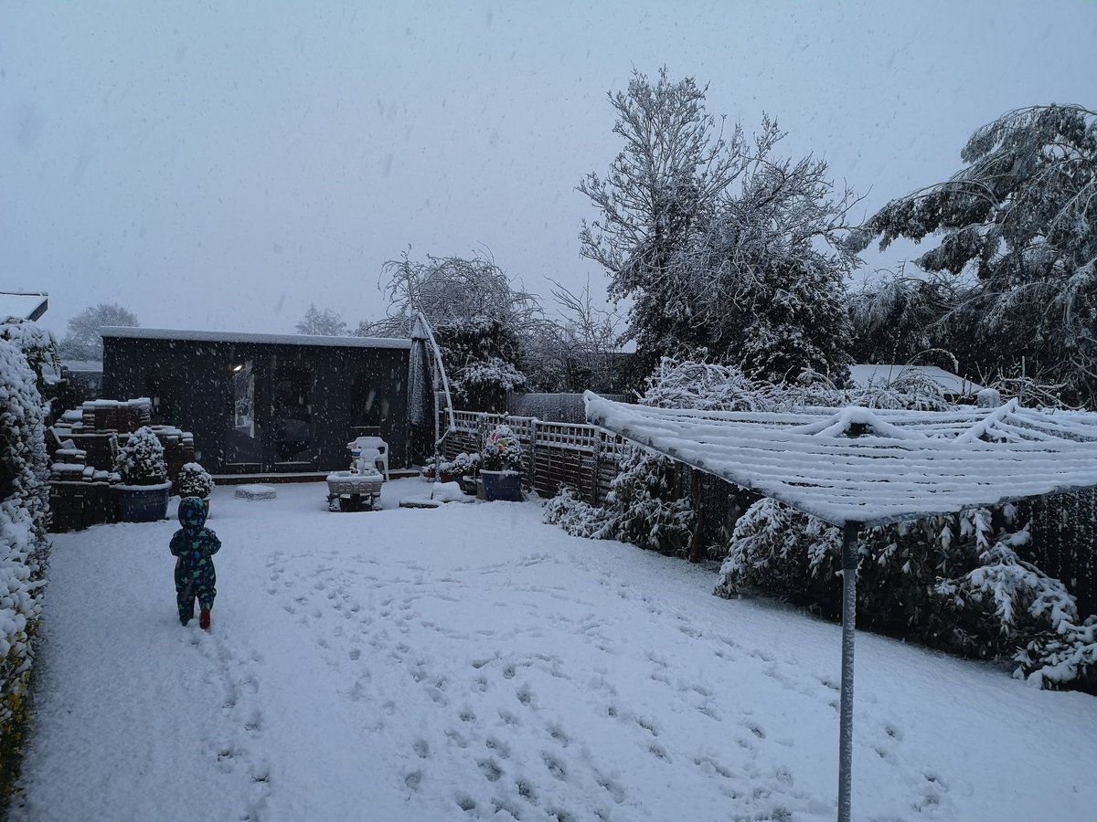 TomlinsonRachel's tweet photo. We can't believe there is snow!! Edward (age 3) loving the snow in his garden in Colchester Essex @GMB @benshephard  @thismorning https://t.co/UdxzZPoZrZ
