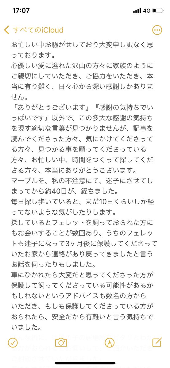 フェレット探しています。 tweet media