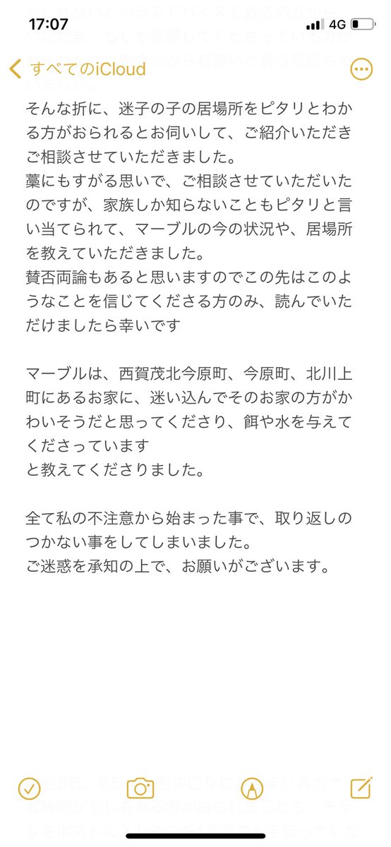フェレット探しています。 tweet media