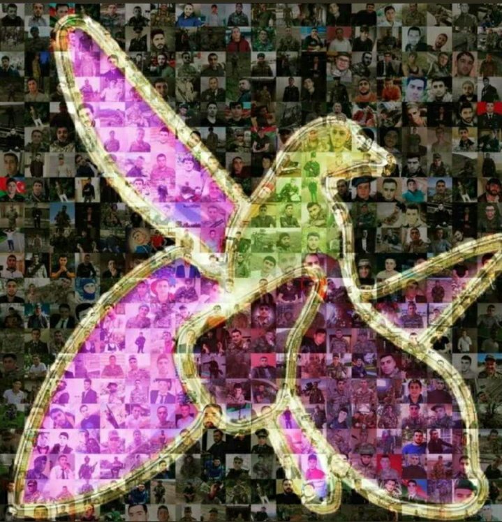#VictoriousAzerbaijaniHeroes