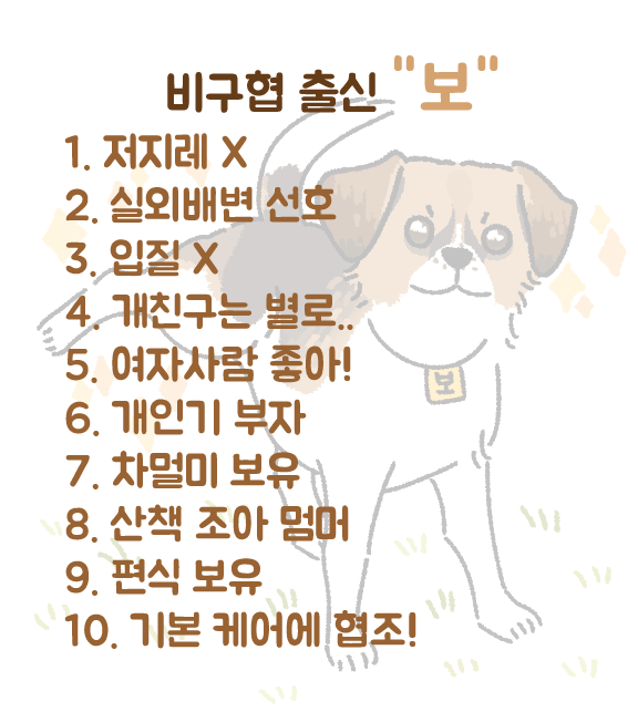 🐶보의 평생 가족을 찾습니다!!
비구협 출신 보의 가족이 되어주세요.
주위에 강아지 입양을 고려하시는 분들이 계시다면 보의 정보 널리 퍼트려주세요!🥲💕