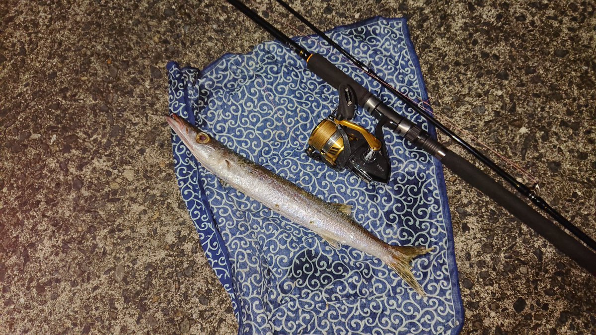 ルアービギナーneo 現在使用中のタックル紹介 ロッド クロスステージcrx 902lsj メジャークラフト リール Sahara 5000xg シマノ Peライン 2号 300m G Soul Super Jigman X8 よつあみ ショアジギングにしてはライトなタックルかもしれ