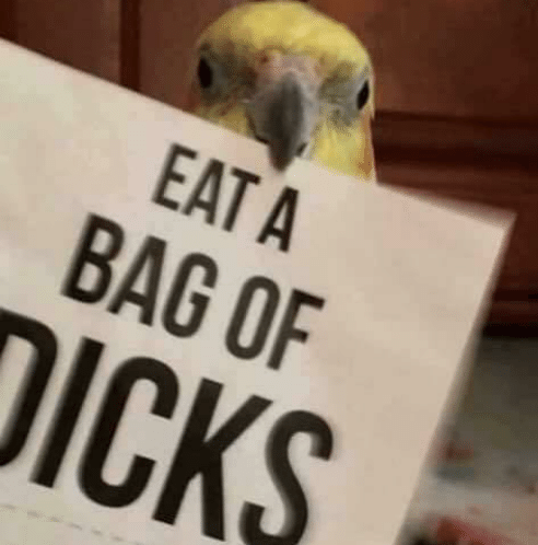 To my favorite asshole. https://t.co/LNJCq4LJfn