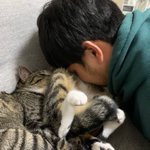 もうやめられない？軽い好奇心から始まった猫吸いにハマる人続出!