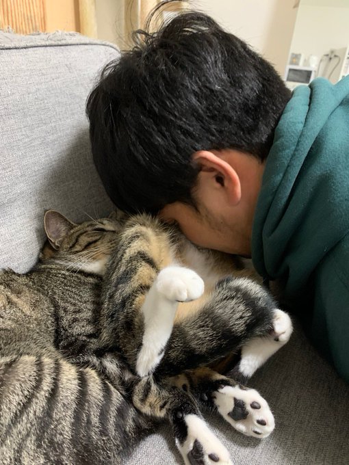 新種の依存症 猫吸いがやめられなくなってしまった飼い主への共感がすごい ガジェット通信 Getnews