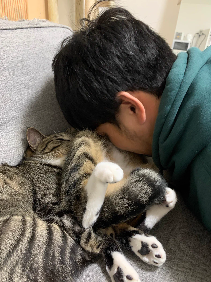 もうやめられない？軽い好奇心から始まった猫吸いにハマる人続出！