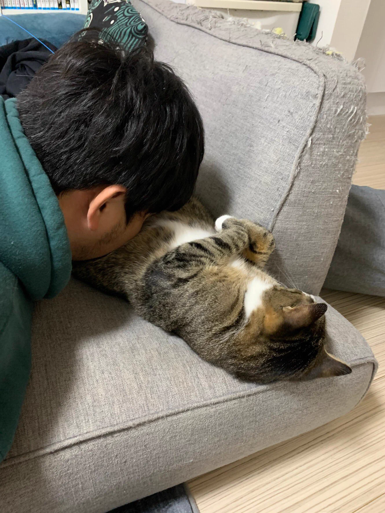 もうやめられない？軽い好奇心から始まった猫吸いにハマる人続出！