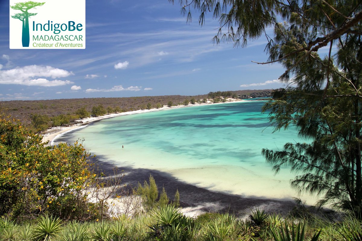 indigobe's tweet photo. ¿Qué te parecería un viaje al norte de #Madagascar el próximo 2021? #Ruta_TrasElCorazonVerde2021
⠀ ⠀ ⠀ ⠀
Añade nuestras rutas a tu #WishList para cuando llegue el ansiado momento de salir ✈️
📸 Pawel Opaska #IndigoBE #vivirlavida #destino2021 https://t.co/GhNK5XqBwN