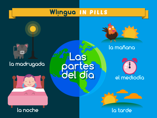 : ¿Cómo dividimos el día en español? ¿Y cómo se divide en tu lengua? Cuéntanoslo.   #lovespanish #learnspanish #spanishlesson #aprenderespañol #español #spanish #spanishcourse #cursoespañol