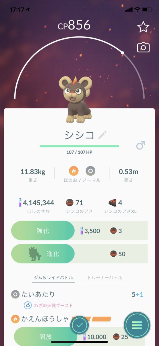 Pikataro0057 ポケモンgo 富山 黄 今日はシシコのオスをゲットしたので早速進化させてみました カエンジシなかなかカッコ良い オスは結構珍しいみたいなのでボックス整理する時はオスをアメにしないように気をつけましょう シシコ