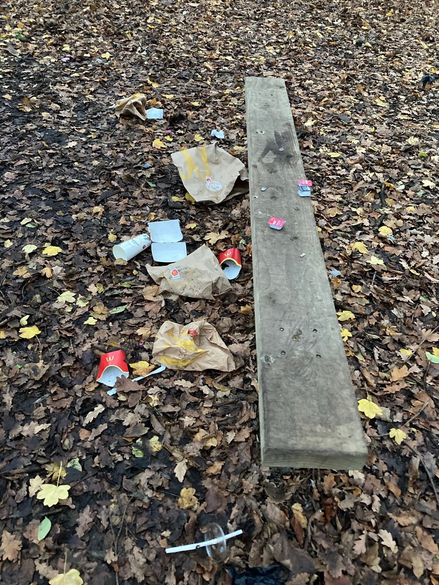 annededen's tweet photo. Why drive from @McDonalds to #cherryvale park walk to the benches, eat your food and leave this mess behind 😦 https://t.co/INDCYVejNf