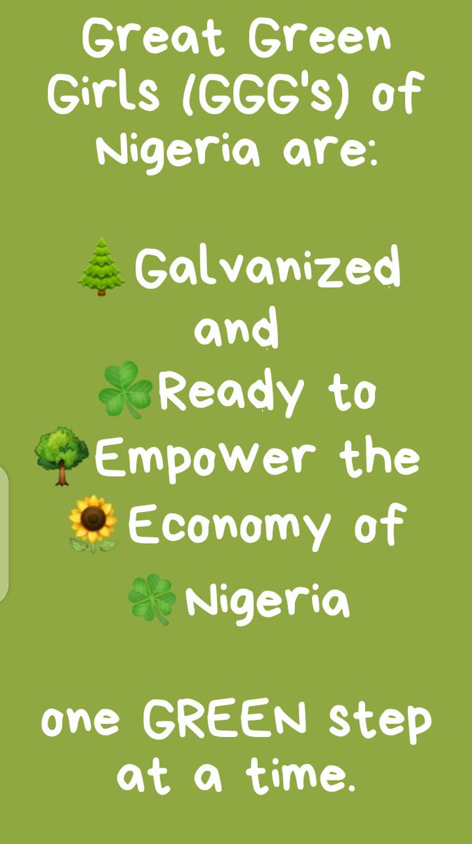 Women In Renewable Energy Association, Nigeria tweet media
