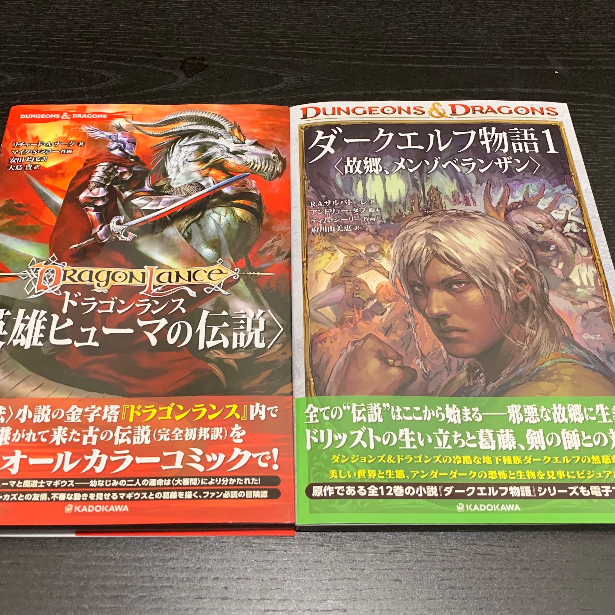 Sakuya Hada Sora ダークエルフ物語 故郷 メンゾベランザン ドラゴンランス 英雄ヒューマの伝説 グラッフィックノベル コミック 買いました Sakuya Hada Sora ダークエルフ物語 故郷 メンゾベランザン ドラゴンランス 英雄ヒューマの伝説 グラッフィックノベル コミック 買いました