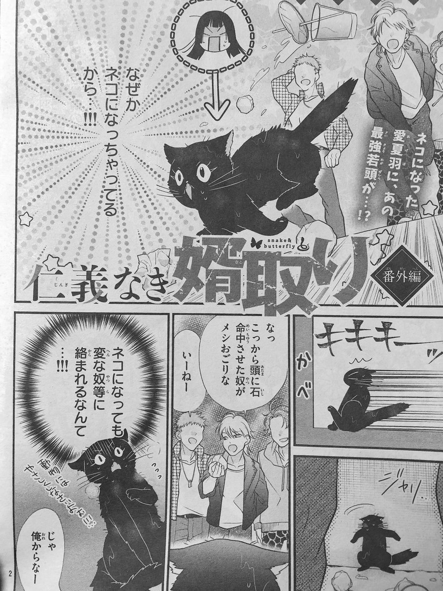 트위터의 佐野愛莉 仁義なき婿取り 6 25発売 님 今日はsho Comi1号発売日 今回は仁義なき婿取り番外編 載ってます 愛夏羽が になって 話です 트위터의 佐野愛莉 仁義なき婿取り 6 25発売 님 今日はsho Comi1号発売日 今回は仁義なき婿取り番外編 載ってます 愛夏羽が になって 話です
