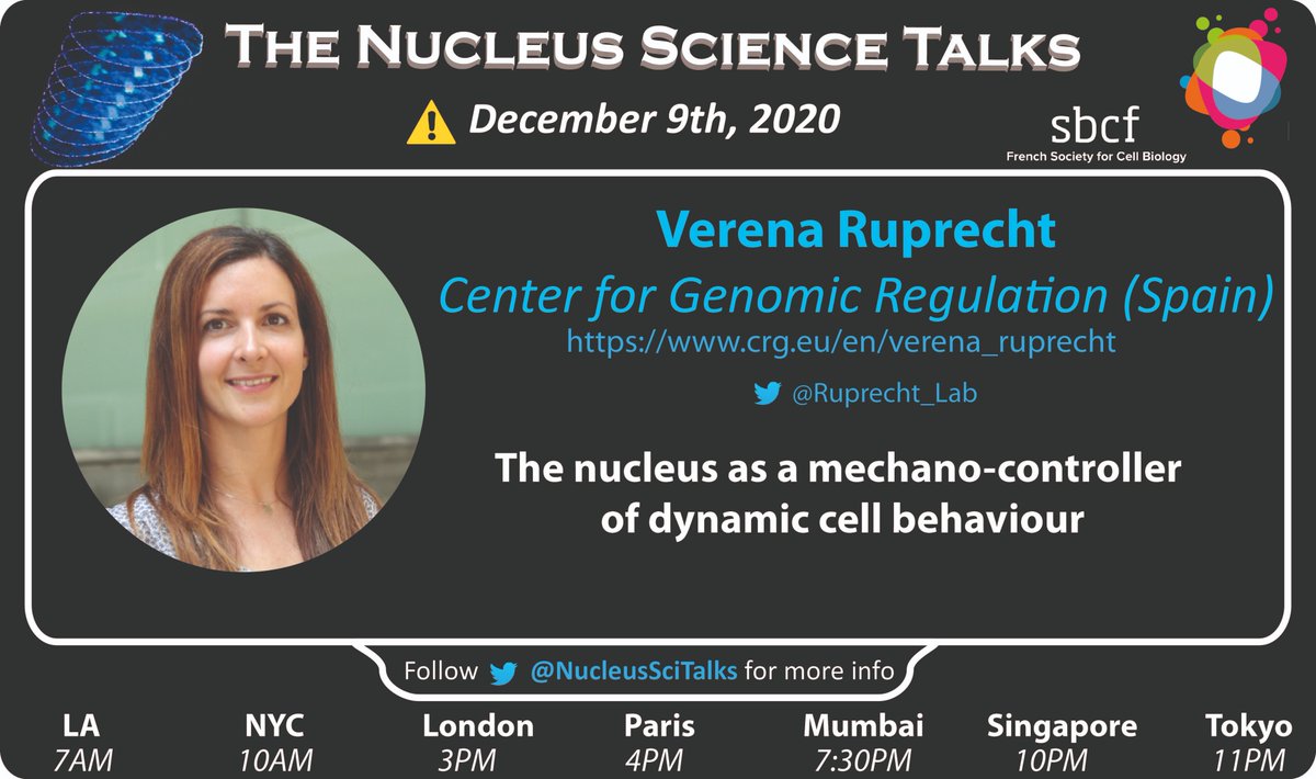 NucleusSciTalks's tweet image. Dear Friends, next week, on Wednesday this time (8th is holiday in several countries) at 4pm ECT, Verena @Ruprecht_Lab will present her recent discoveries. Check her website to know more: crg.eu/en/verena_rupr…. 
More details on Slack. Supported by @SBCF1
