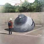 駐車場に止まっているこの巨大ハト．．．乗用車⁉