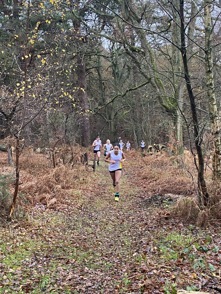 DHSport1's tweet photo. Tilly (@HolcombeDH) looking strong leading from the front from start to finish .... looks like she is going to take the win! #GoTilly https://t.co/JFx7veqnls
