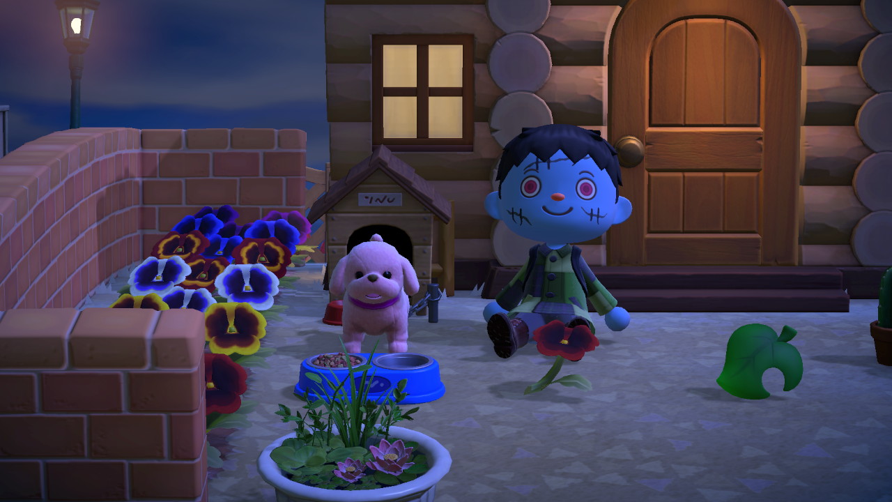 ひろ助 いぬのぬいぐるみっ やっと犬小屋が犬小屋らしくなった あつ森 どうぶつの森 Animalcrossing Acnh Nintendoswitch T Co Vejgtpfi Twitter