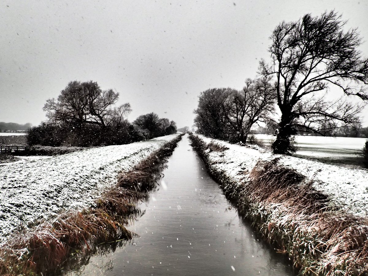 Fenduro's tweet photo. #fluffy up on the #fens today #hotcrossbun https://t.co/UKTsuuo5SC