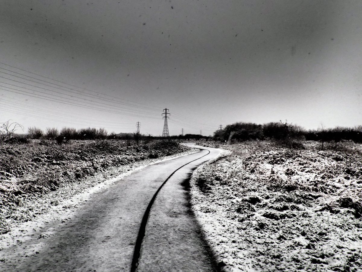 Fenduro's tweet photo. #fluffy up on the #fens today #hotcrossbun https://t.co/UKTsuuo5SC